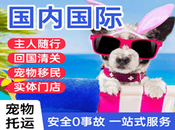 阿拉善航空托运国际宠物托运 【国